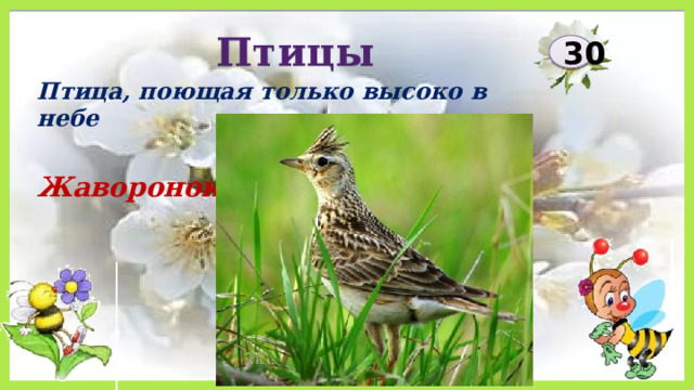 Птицы 30 Птица, поющая только высоко в небе   Жаворонок 