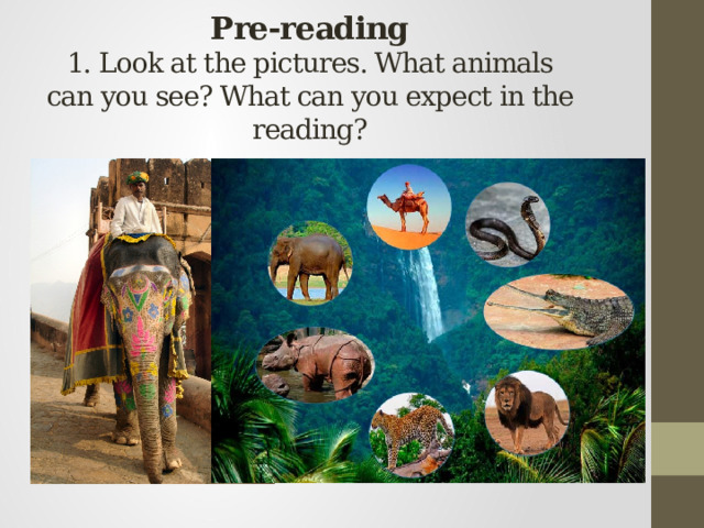 Pre-reading  1. Look at the pictures. What animals can you see? What can you expect in the reading? 