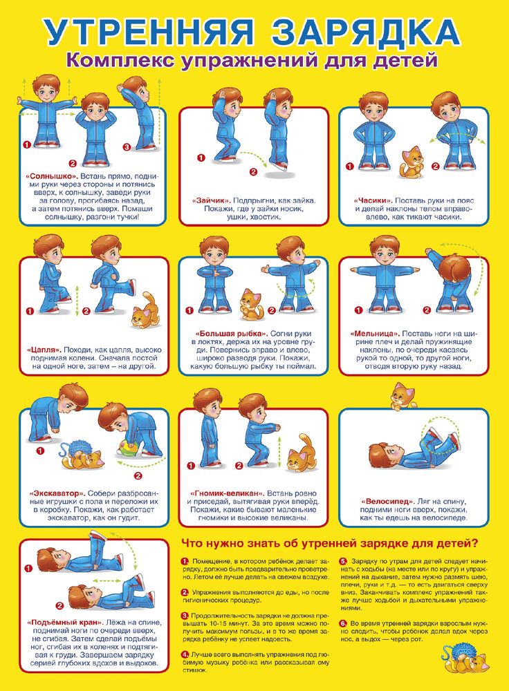 Картинки утренней гимнастики для детей дошкольного возраста