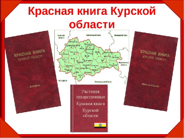 Животный мир Курской области