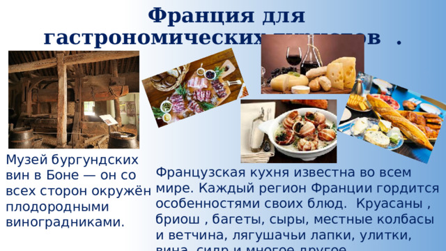  Франция для гастрономических туристов .   Музей бургундских вин в Боне — он со всех сторон окружён плодородными виноградниками. Французская кухня известна во всем мире. Каждый регион Франции гордится особенностями своих блюд. Круасаны , бриош , багеты, сыры, местные колбасы и ветчина, лягушачьи лапки, улитки, вина, сидр и многое другое. 