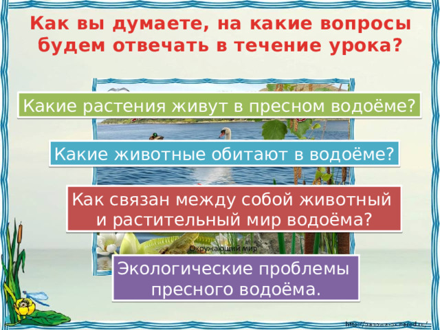 Как вы думаете, на какие вопросы будем отвечать в течение урока? Какие растения живут в пресном водоёме? Какие животные обитают в водоёме? Как связан между собой животный и растительный мир водоёма? Экологические проблемы пресного водоёма. 