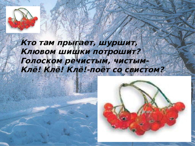 Кто там прыгает, шуршит,  Клювом шишки потрошит?  Голоском речистым, чистым-  Клё! Клё! Клё!-поёт со свистом? 