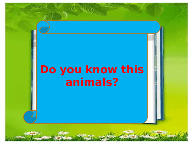 Do you know this animals? 
