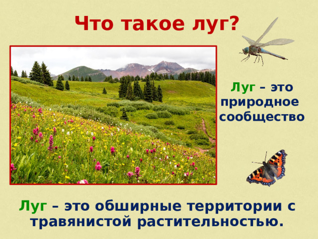 Что такое луг? Луг – это природное сообщество Луг – это обширные территории с травянистой растительностью.  