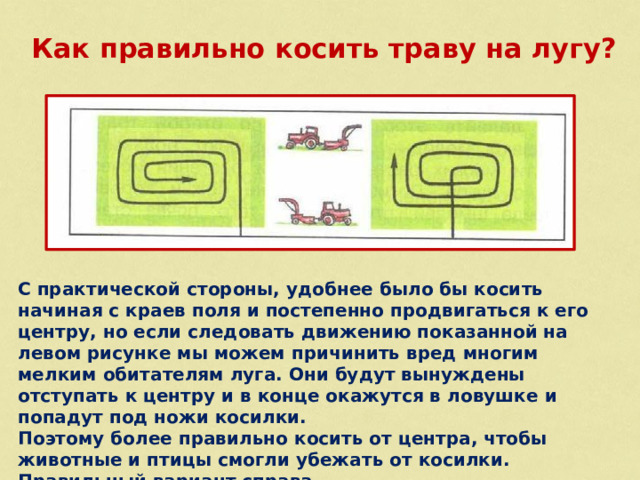 Как правильно косить траву на лугу?  С практической стороны, удобнее было бы косить начиная с краев поля и постепенно продвигаться к его центру, но если следовать движению показанной на левом рисунке мы можем причинить вред многим мелким обитателям луга. Они будут вынуждены отступать к центру и в конце окажутся в ловушке и попадут под ножи косилки. Поэтому более правильно косить от центра, чтобы животные и птицы смогли убежать от косилки. Правильный вариант справа.  