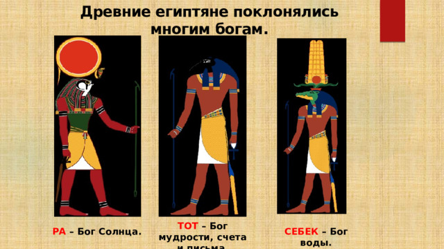 Древние египтяне поклонялись многим богам.   ТОТ – Бог мудрости, счета и письма. РА – Бог Солнца. СЕБЕК – Бог воды. 