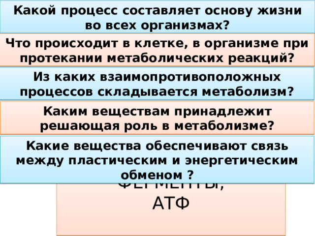 Какой процесс составляет основу жизни во всех организмах? Что происходит в клетке, в организме при протекании метаболических реакций? Из каких взаимопротивоположных процессов складывается метаболизм? Каким веществам принадлежит решающая роль в метаболизме? Какие вещества обеспечивают связь между пластическим и энергетическим обменом ? ФЕРМЕНТЫ, АТФ 