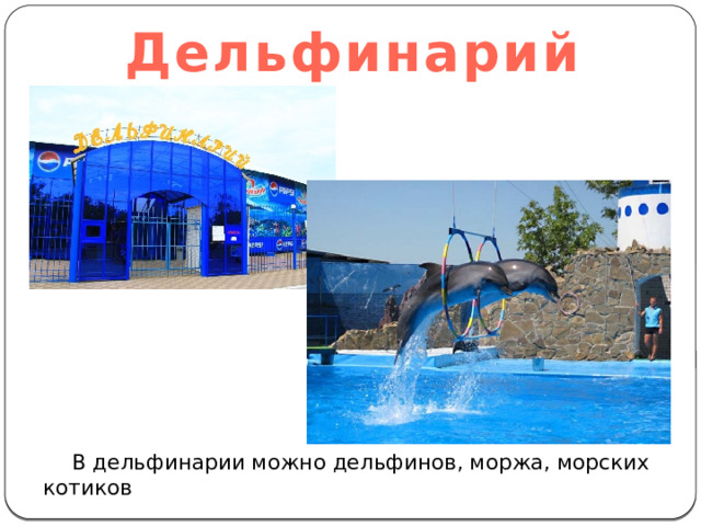 Дельфинарий В дельфинарии можно дельфинов, моржа, морских котиков 