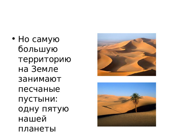 Но самую большую территорию на Земле занимают песчаные пустыни: одну пятую нашей планеты 