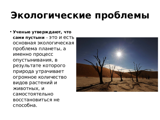 Экологические проблемы Ученые утверждают, что сами пустыни – это и есть основная экологическая проблема планеты, а именно процесс опустынивания, в результате которого природа утрачивает огромное количество видов растений и животных, и самостоятельно восстановиться не способна. 