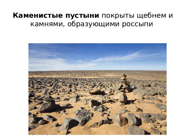 Каменистые пустыни покрыты щебнем и камнями, образующими россыпи 