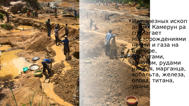 Из полезных ископаемых Камерун располагает месторождениями нефти и газа на шельфе, бокситами, золотом, рудами никеля, марганца, кобальта, железа, олова, титана, урана.  