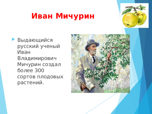 Иван Мичурин Выдающийся русский ученый Иван Владимирович Мичурин создал более 300 сортов плодовых растений.  