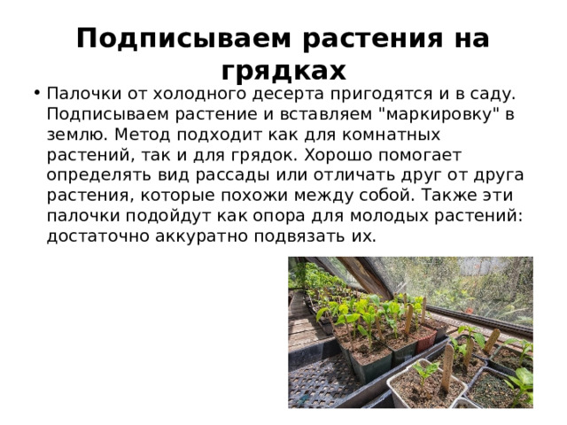 Подписываем растения на грядках Палочки от холодного десерта пригодятся и в саду. Подписываем растение и вставляем 
