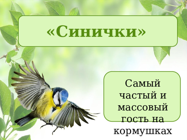 Презентация "Окружающий мир". Зоопарк.
