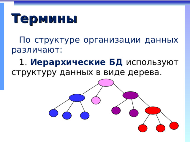 Термины По структуре организации данных различают:  Иерархические БД  используют структуру данных в виде дерева. 