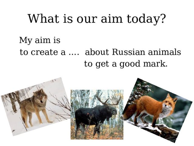What is our aim today?  My aim is  to create a …. about Russian animals  to get a good mark. 