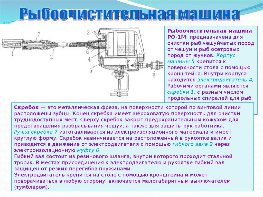 эксплуатация рыбоочистительной машины (100) фото