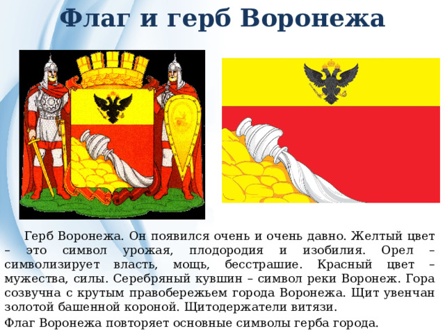 Как выглядит воронежская область флаг "Виртуальное путешествие по городу Воронежу"