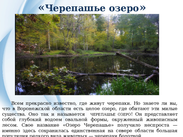  « Черепашье озеро »  Всем прекрасно известно, где живут черепахи. Но знаете ли вы, что в Воронежской области есть целое озеро, где обитают эти милые существа. Оно так и называется ЧЕРЕПАШЬЕ ОЗЕРО ! Он представляет собой глубокий водоем овальной формы, окруженный живописным лесом. Свое название «Озеро Черепашье» получило неспроста — именно здесь сохранилась единственная на севере области большая популяция редкого вида животных — черепахи болотной. 