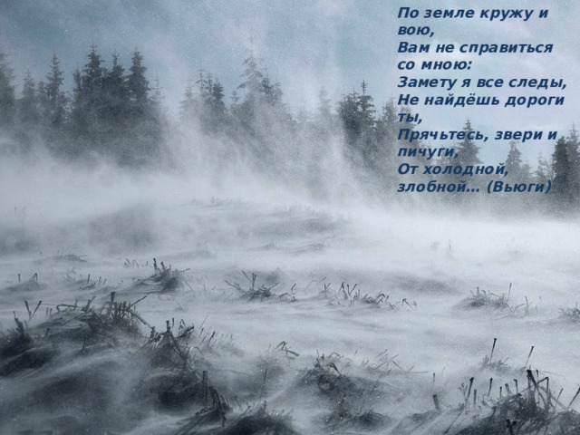 По земле кружу и вою, Вам не справиться со мною: Замету я все следы, Не найдёшь дороги ты, Прячьтесь, звери и пичуги, От холодной, злобной… (Вьюги) 