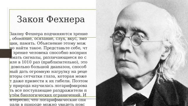 Закон Фехнера Закону Фехнера подчиняются зрение, обоняние, осязание, слух, вкус, эмоции, память. Объяснение этому можно найти такое. Представьте себе, что зрение человека способно воспринимать сигналы, различающиеся по силе в 1010 раз (приблизительно), это довольно большой диапазон, способный дать огромную нагрузку на рецепторы сетчатки глаза, которая может даже привести к их гибели. Поэтому природа научилась логарифмировать все поступающие раздражители путём биологических ограничений. Интересно, что логарифмические спирали в природе можно увидеть повсюду:в расположении семян в подсолнечника, в раковинах, моллюсков и т.д. 