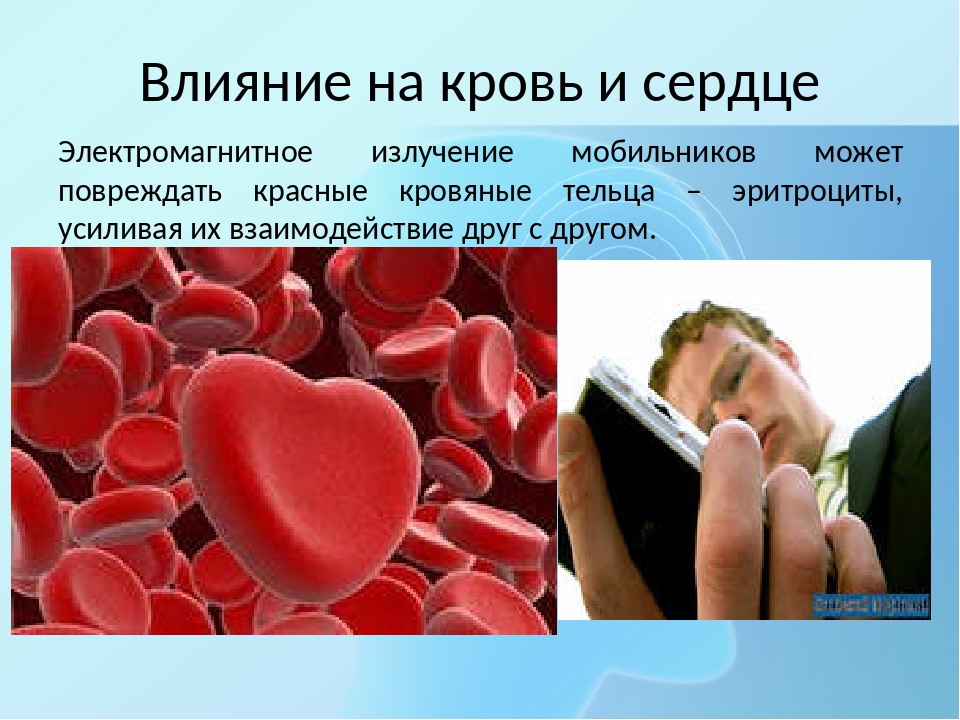 Как телефон влияет на здоровье. Влияние телефона на сердце. Влияние телефона на кровь. Влияние на сердце кровь сотового телефона. Влияние телефона на сердце и кровь.
