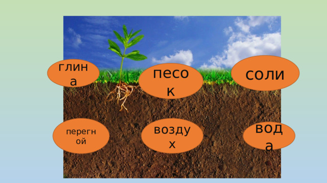 соли глина песок воздух перегной вода 