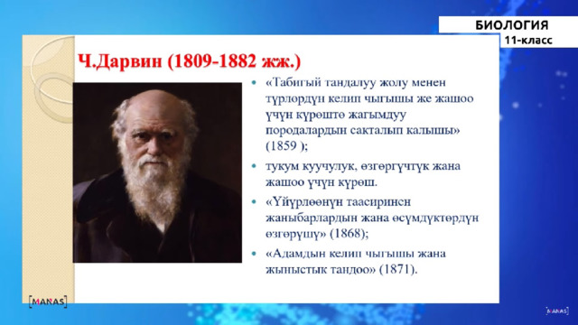 11 класс биология