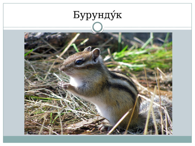 Бурунду ́ к 