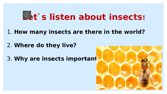 Let`s listen about insects ! 1.  How many insects are there in the world?  2.  Where do they live?  3.  Why are insects important?  