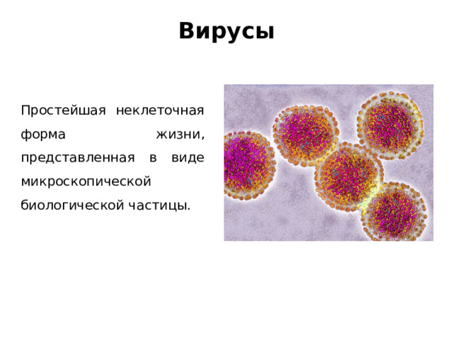 Вирусы Простейшая неклеточная форма жизни, представленная в виде микроскопической биологической частицы. 