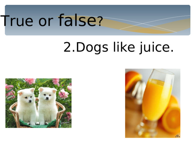 True or false ? 2.Dogs like juice. 