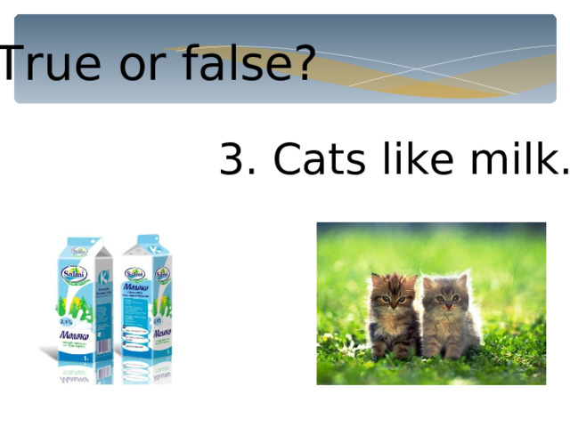 True or false? 3. Cats like milk. 