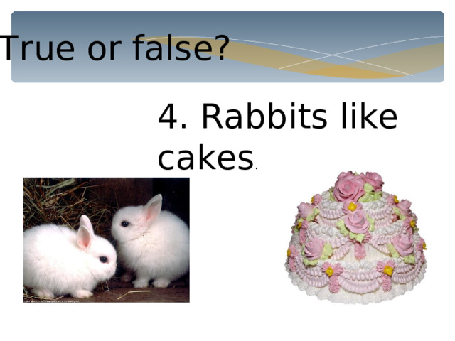 True or false? 4. Rabbits like cakes . 