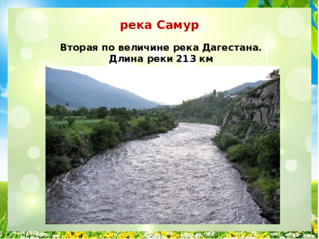 река Самур Вторая по величине река Дагестана. Длина реки 213 км 