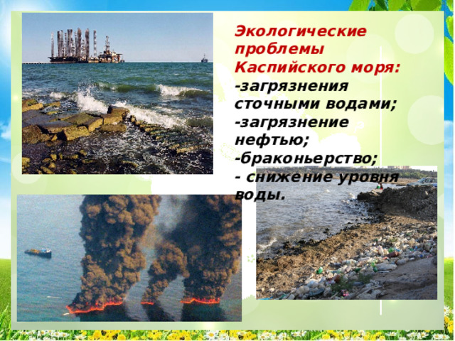 Экологические проблемы Каспийского моря: -загрязнения сточными водами; -загрязнение нефтью; -браконьерство; - снижение уровня воды. 
