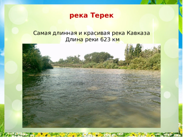 река Терек Самая длинная и красивая река Кавказа Длина реки 623 км 