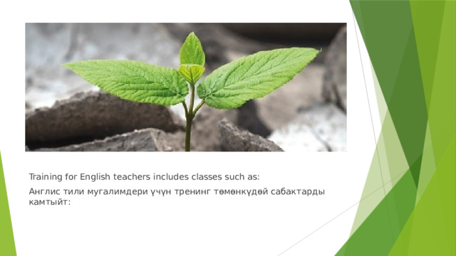 Training for English teachers includes classes such as: Англис тили мугалимдери үчүн тренинг төмөнкүдөй сабактарды камтыйт: 