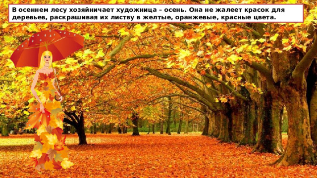 В осеннем лесу хозяйничает художница – осень. Она не жалеет красок для деревьев, раскрашивая их листву в желтые, оранжевые, красные цвета. 