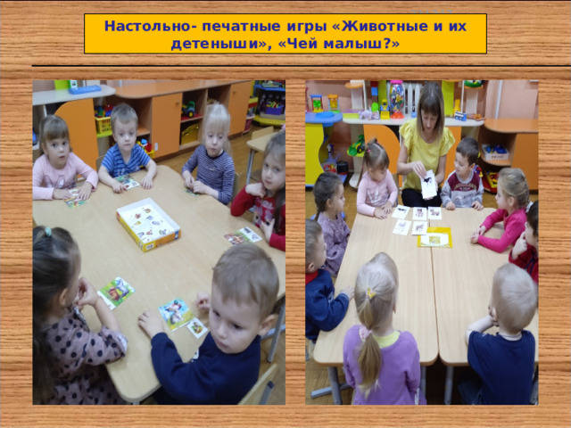 22.12.17 Настольно- печатные игры «Животные и их детеныши», «Чей малыш?» 