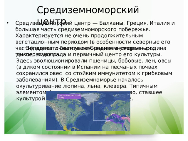 Средиземноморский центр Средиземноморский центр — Балканы, Греция, Италия и большая часть средиземноморского побережья. Характеризуется не очень продолжительным вегетационным периодом (в особенности северные его части), достаточным увлажнением и умеренными температурами.  Западное и Восточное Средиземноморье – родина дикого винограда и первичный центр его культуры. Здесь эволюционировали пшеницы, бобовые, лен, овсы (в диком состоянии в Испании на песчаных почвах сохранился овес  со стойким иммунитетом к грибковым заболеваниям). В Средиземноморье началось окультуривание люпина, льна, клевера. Типичным элементом флоры стало оливковое дерево, ставшее культурой в древних Палестине и Египте. 