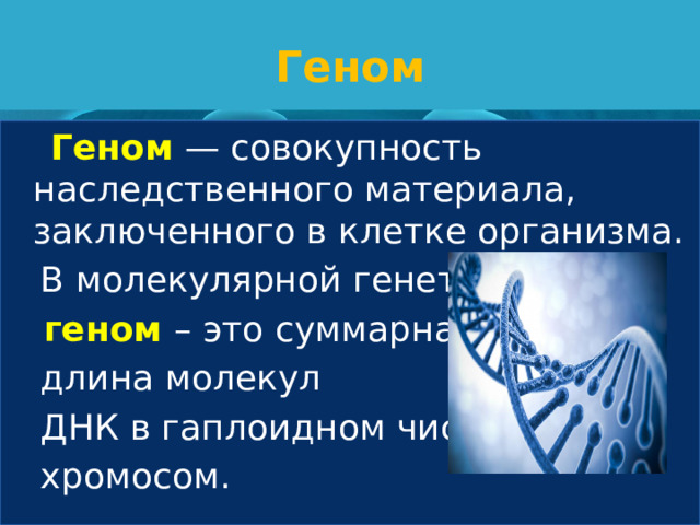 Геном   Геном  — совокупность наследственного материала, заключенного в клетке организма.  В молекулярной генетике  геном – это суммарная  длина молекул  ДНК в гаплоидном числе  хромосом. 