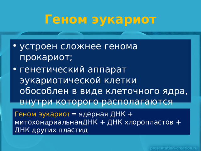 Геном эукариот устроен сложнее генома прокариот; генетический аппарат эукариотической клетки обособлен в виде клеточного ядра, внутри которого располагаются основные носители наследственности — хромосомы. Геном эукариот =  ядерная ДНК + митохондриальнаяДНК + ДНК хлоропластов + ДНК других пластид 