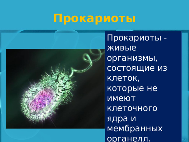 Прокариоты Прокариоты - живые организмы, состоящие из клеток, которые не имеют клеточного ядра и мембранных органелл. 