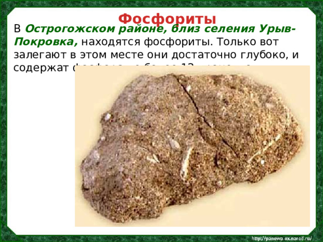 Фосфориты В Острогожском районе, близ селения Урыв-Покровка, находятся фосфориты. Только вот залегают в этом месте они достаточно глубоко, и содержат фосфора не более 12 процентов. 
