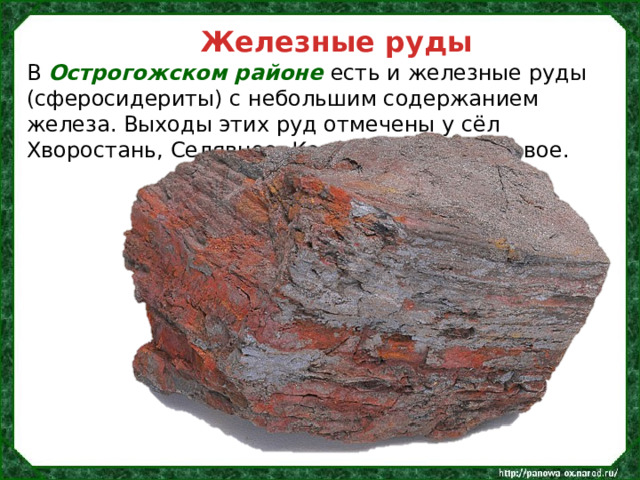 Железные руды В Острогожском районе есть и железные руды (сферосидериты) с небольшим содержанием железа. Выходы этих руд отмечены у сёл Хворостань, Селявное, Коротояк и Сторожевое. 