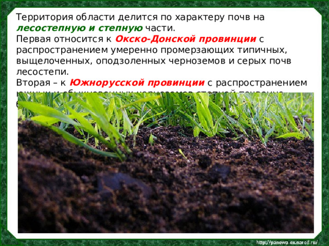 Территория области делится по характеру почв на лесостепную и степную части. Первая относится к Окско-Донской провинции с распространением умеренно промерзающих типичных, выщелоченных, оподзоленных черноземов и серых почв лесостепи. Вторая – к Южнорусской провинции с распространением южных и обыкновенных черноземов степной почвенно-биоклиматической области. 