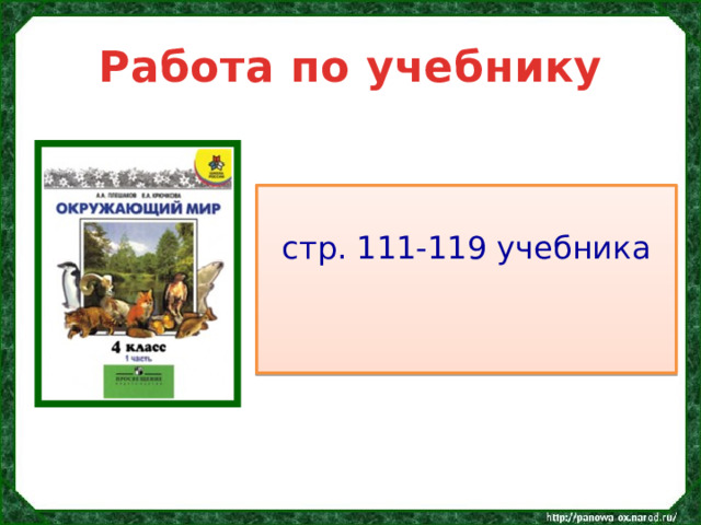 Работа по учебнику стр. 111-119 учебника 